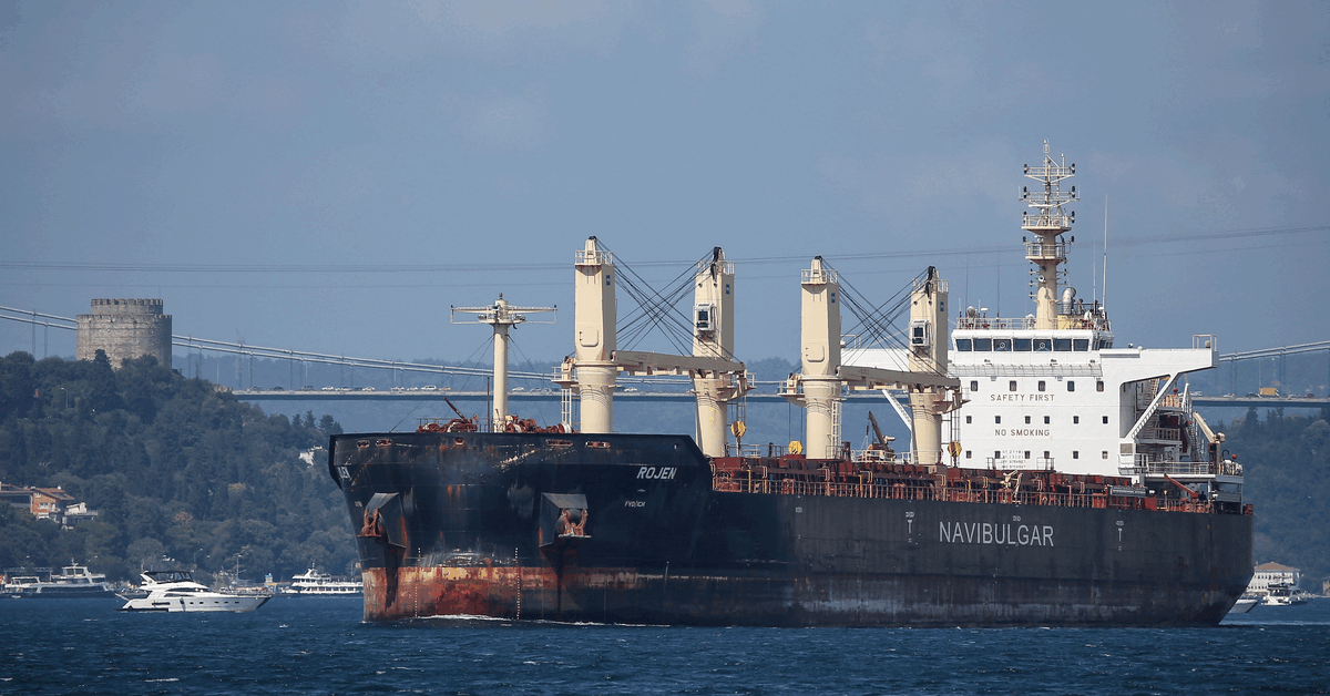 Expert: Grain transports may need to be protected by military ships