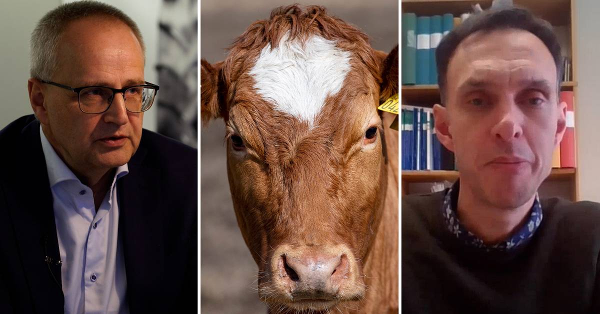 Sweden's selfsufficiency in food opinions differ on the need