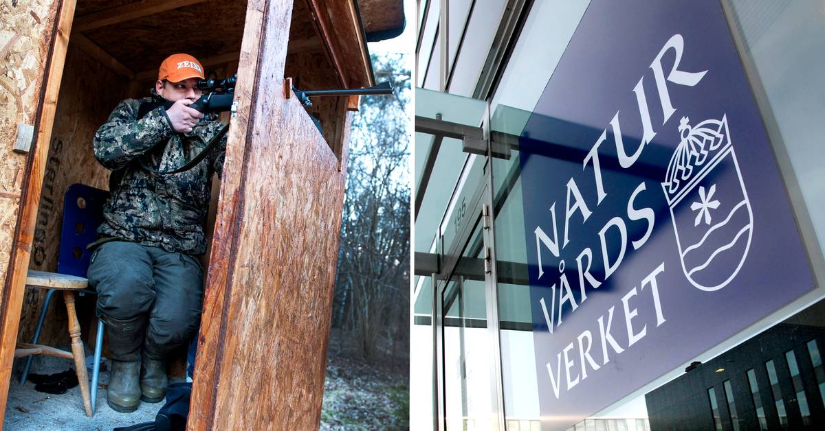 The hunting register is not the target of a data breach at the Swedish