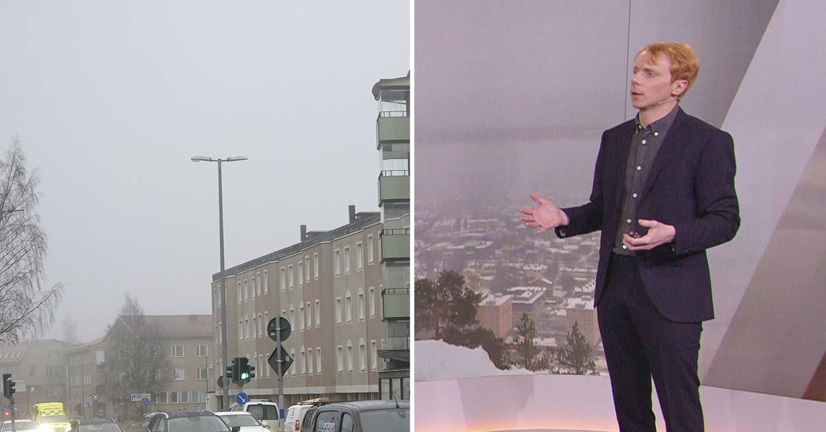 Därför är Det Så Grått I Sverige Just Nu Svt Nyheter