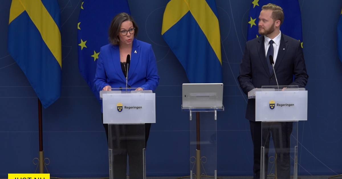 The government's mission to the Swedish Migration Agency Review