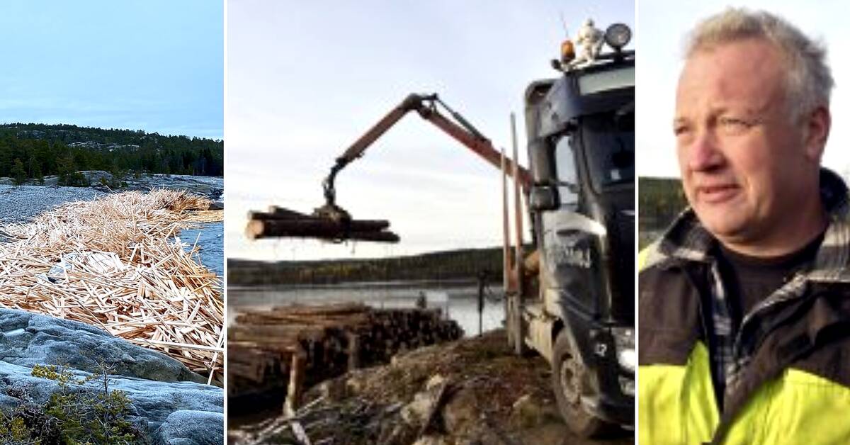 Örnsköldsvik-selskapet skal gjenvinne tømmer utenfor Härnösand: «Det vil trolig ta en måned»