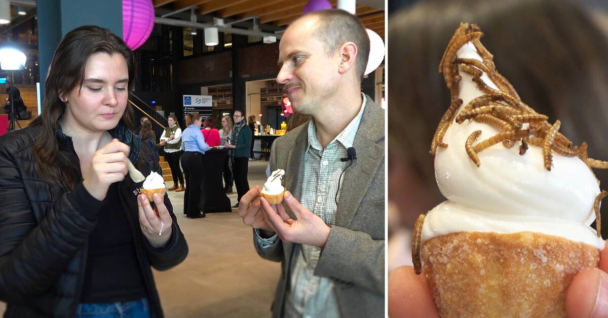 Here, SVT's reporter tests ice cream with mealworms "Tastes nutty