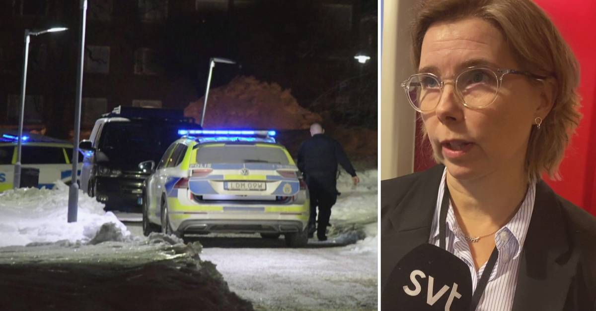 sm-barnsmamma-h-ktas-efter-polisens-stora-tillslag-i-sundsvall-svt