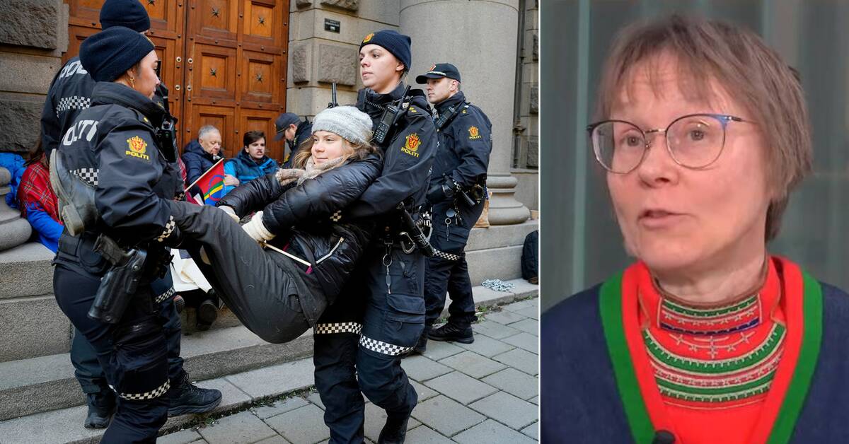 Domstoler og aktivister favoriserer samiske saker mer enn politikere