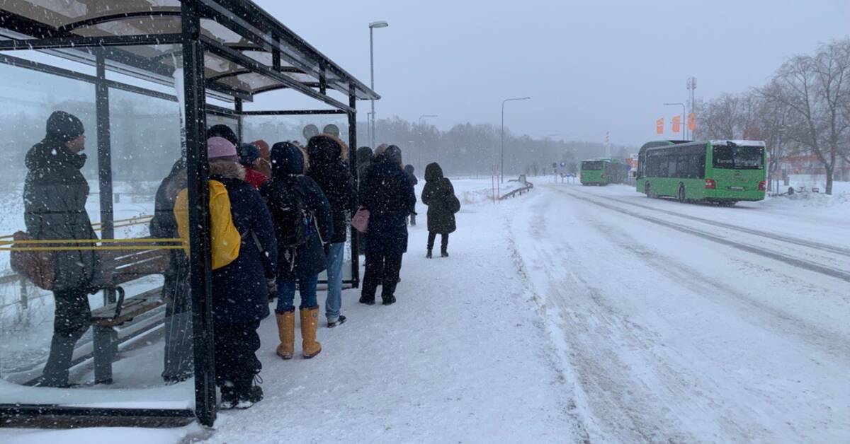 Gli autobus urbani sono tornati in servizio, con qualche ritardo