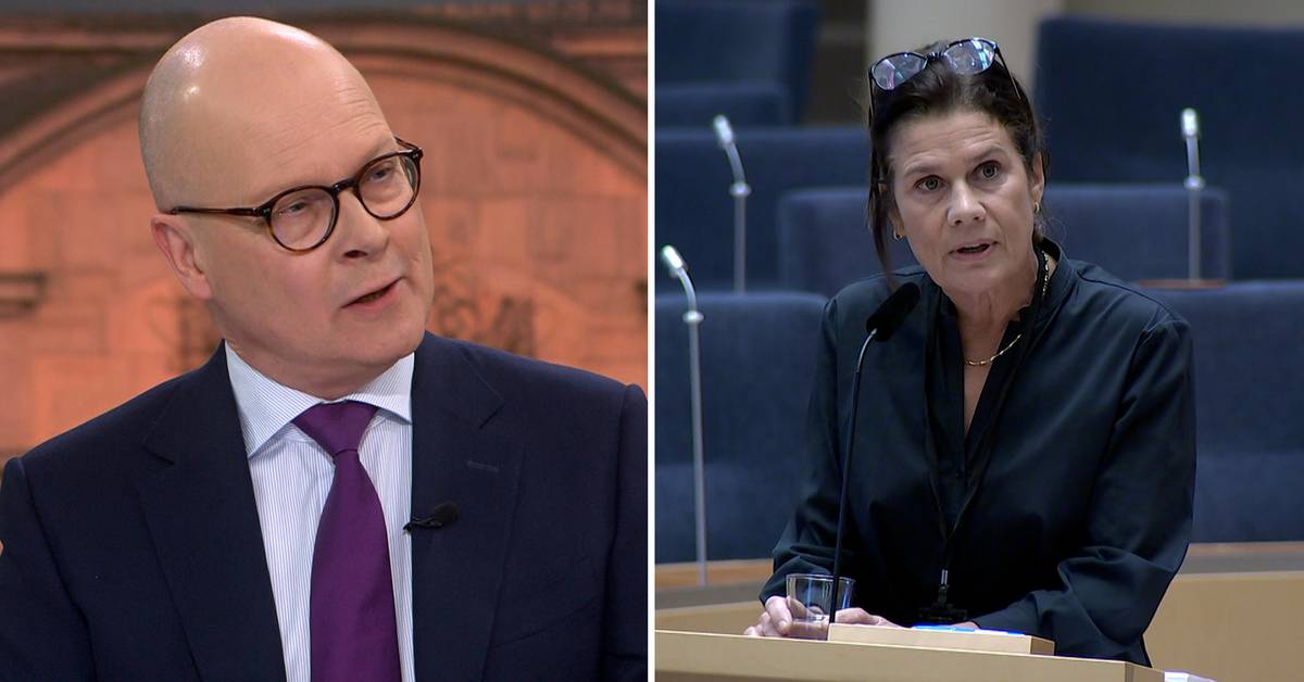Mats Knutson om nya politiska vilden ”Skapar osäkerhet” SVT Nyheter