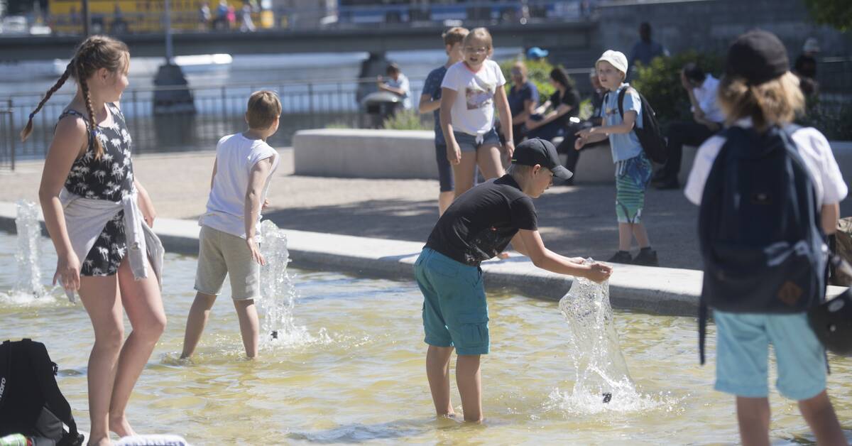 Det talar för en lika varm sommar som 2018 SVT Nyheter