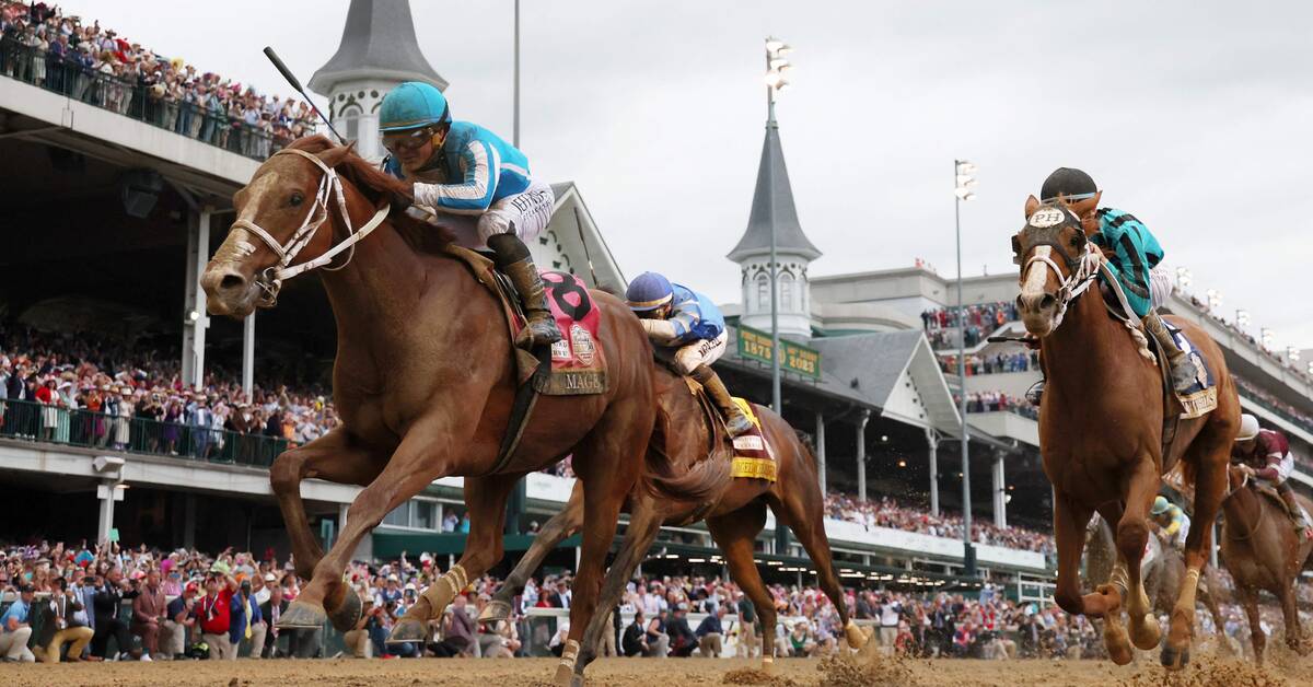 Seven horses died before the Kentucky Derby Teller Report