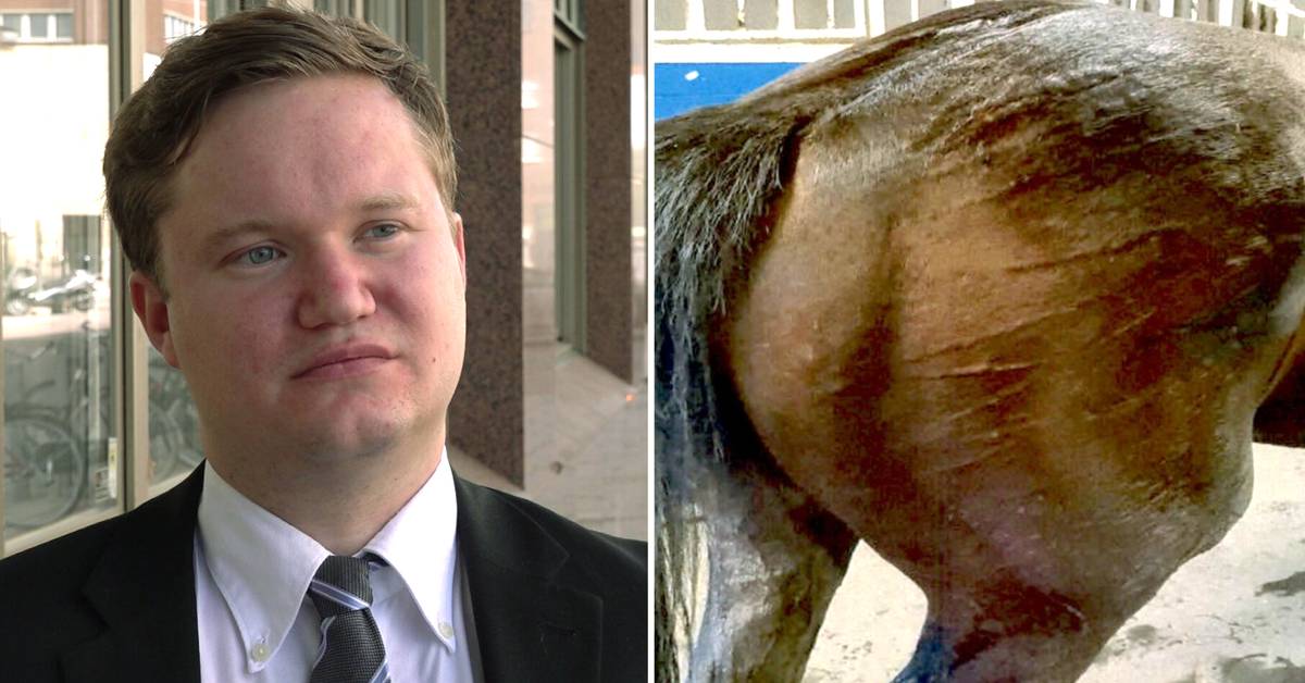 Sörmland trotting coach convicted of animal cruelty whipped horse