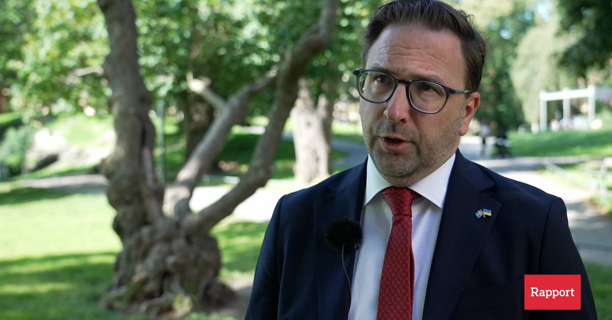 Detaljer: SD ønsker å ta L-politikere fra Tidös pressekonferanse