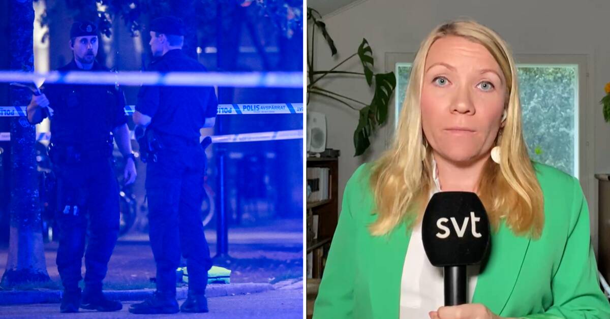Her er hvordan Norge og Finland reagerer på gjengvold i Sverige