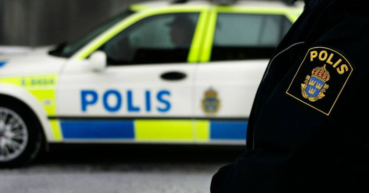 Fake police