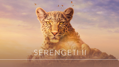 Serengeti. - Världens natur: Serengeti II
