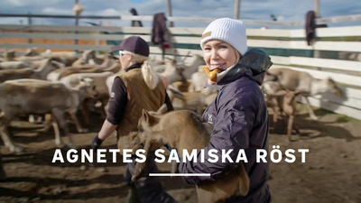 Sångerskan och artisten Agnete lärde sig samiska som barn, hennes bror gjorde det inte. Hur kan det komma sig att hon ändå känner sig mindre samisk än sin bror? Agnete beslutar sig för att återerövra både sitt samiska språk och sin samiska identitet. - Agnetes samiska röst
