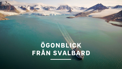 Ögonblick från Svalbard.
