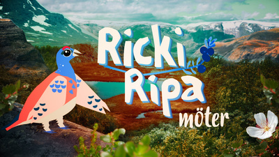 Ricki Ripa möter.