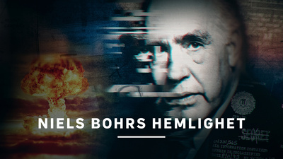 Niels Bohrs hemlighet