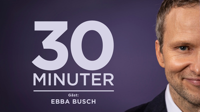 I kväll intervjuar Anders Holmberg energi- och näringsminister Ebba Busch. - Energi- och näringsminister Ebba Busch