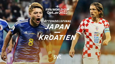 Japan-Kroatien