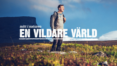 En vildare värld. Svensk naturserie från 2022. Programledare är Anders Lundin.