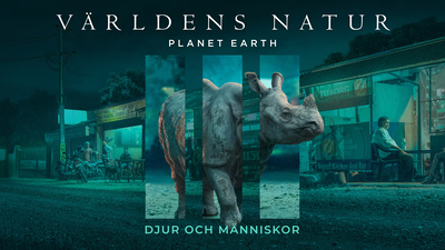 Världens natur: Planet Earth III - Djur och människor