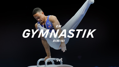 EM i artistik gymnastik från Rimini, Italien. Dags för herrarnas individuella grenfinaler: fristående, bygelhäst och ringar - Grenfinaler herrar
