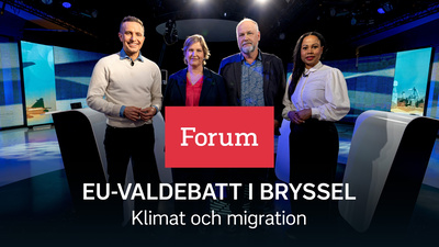 Toppkandidaterna Tomas Tobé (M), Karin Karlsbro  (L), Jonas Sjöstedt (V) och Alice Bah Kuhnke (MP) debatterar klimatpaketet Fit for 55, och migrationen till EU. - Klimat och migration