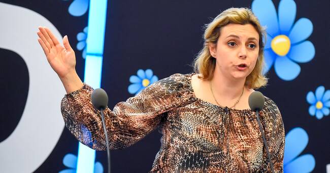 SD:s Paula Bieler: "Jag ställer inte upp för omval" | SVT Nyheter