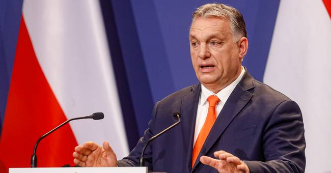 Nuovo disegno di legge in Ungheria: bandita la “promozione gay”