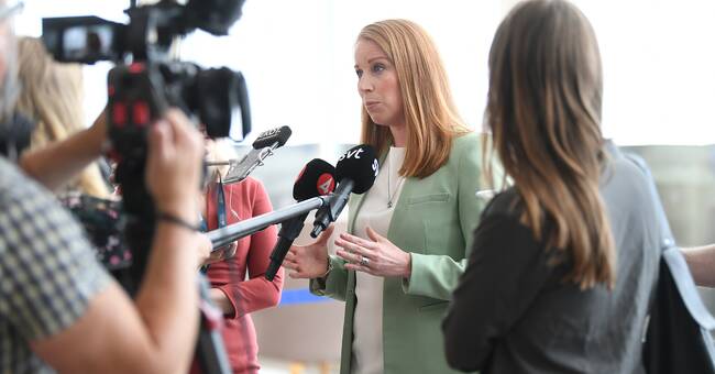 The expert’s unexpected advice: Annie Lööf could become prime minister