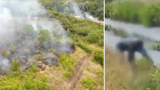 Här fångar forskarnas kameror den misstänkta mordbrännaren