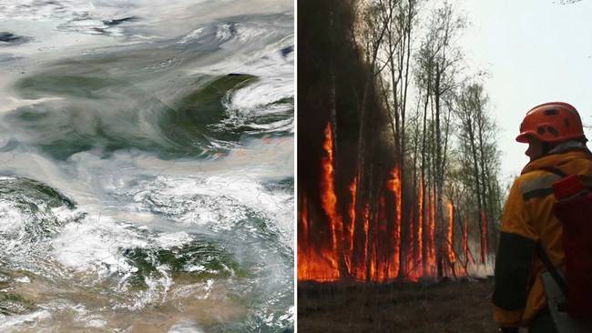 Nasa: Röken från Sibirien har nått nordpolen