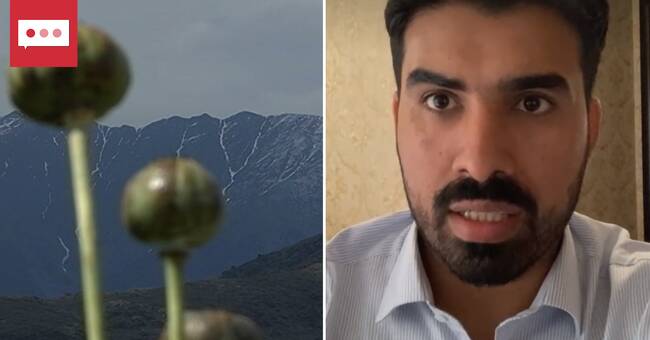 Taliban supporters: “There will be less opium in the world”