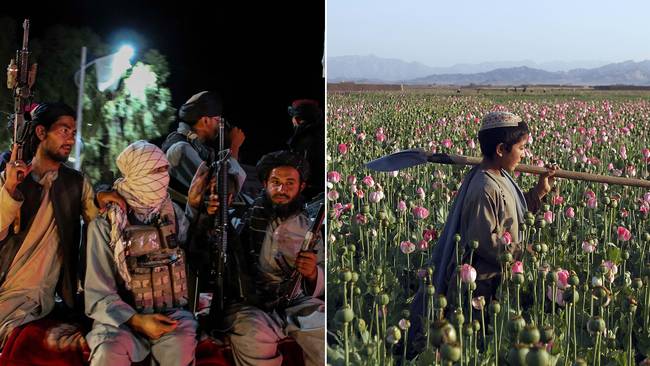 Från turistattraktion till kassako – här är opiumets historia i Afghanistan