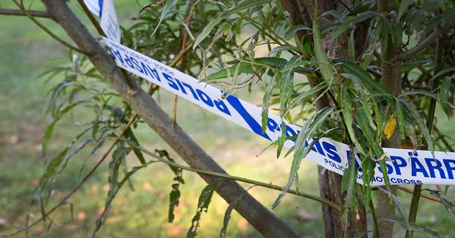 Politisk mistenkt SD løslatt mot kausjon