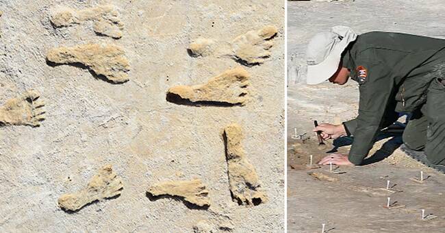 See North America’s 23,000-year-old human footprints