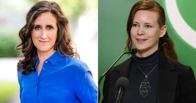 Miljöpartister vill styra SVT: s nyhetssändningar