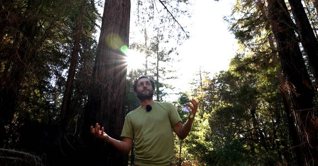 Mer og mer risikovillig kapital for klimateknologi: «Det starter 20 år for sent»