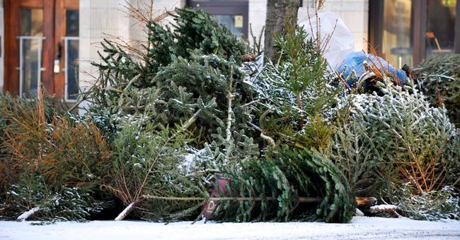City Of Newton Christmas Tree Collection 2022 Here Are The Municipalities That Offer Free Christmas Tree Collection -  Teller Report