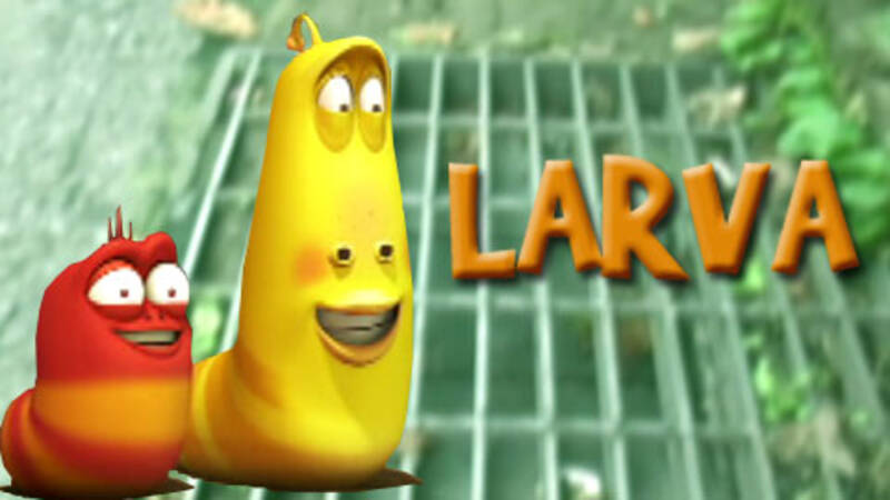Larva