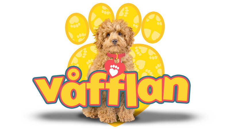 Våfflan