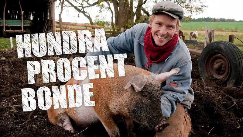 Frank med en gris i Hundra procent bonde