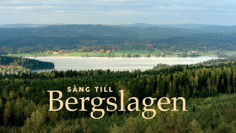 En film genom årstidernas växlingar med människor och djur i Bergslagen. Närheten till naturen och de vilda djuren sätter sin prägel på människorna här. - Sång till Bergslagen