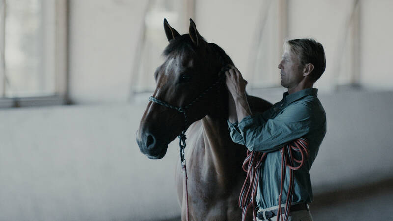 I mötet med Peder Fredricson blir Allan, eller All-in, en av världens bästa hopphästar. - All In - den bevingade hästen
