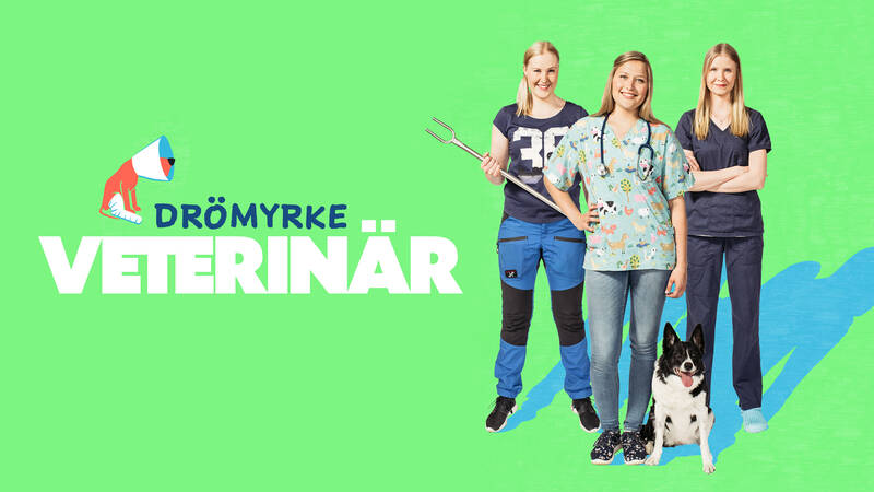 Drömyrke: veterinär