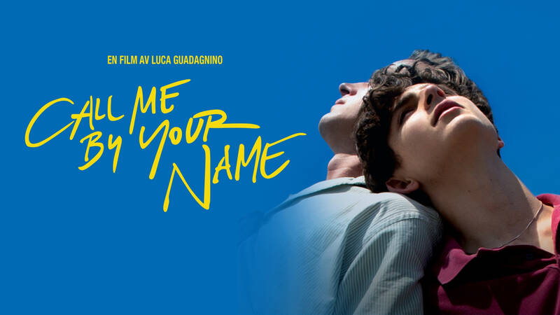 Elio (Timothée Chalamet) och Oliver (Armie Hammer). - Call me by your name