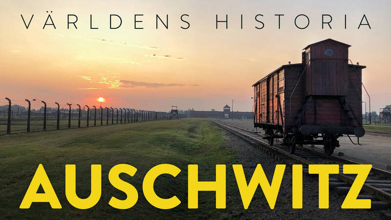 En dag i maj 1944 kommer Bernard Walter till sitt arbete - hans uppdrag är att fotografera koncentrationslägret Auschwitz under en vecka. Det resulterar i Auschwitz-albumet, ett unikt dokument med fotografier.