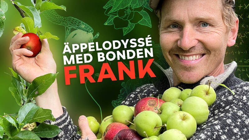 Frank Erichsen - Äppelodyssé med bonden Frank