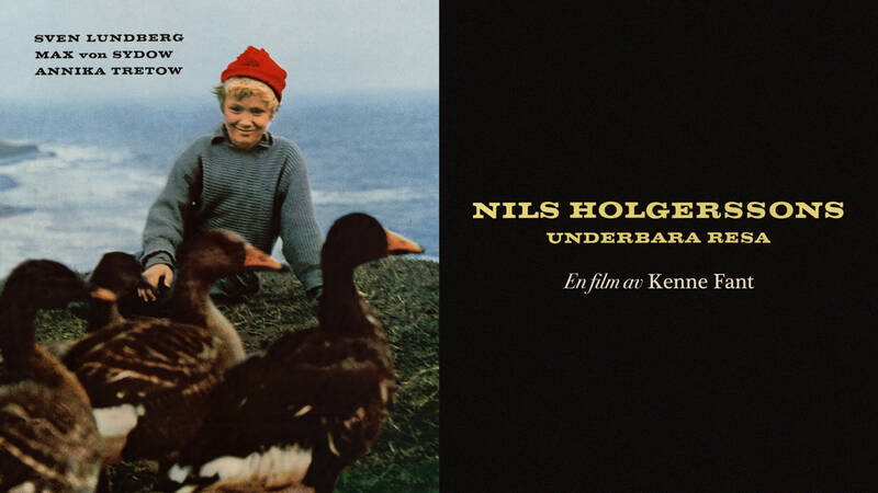 Nils Holgersson (Sven Lundberg) - Nils Holgerssons underbara resa